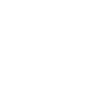 an icon of a magnifying glass in white