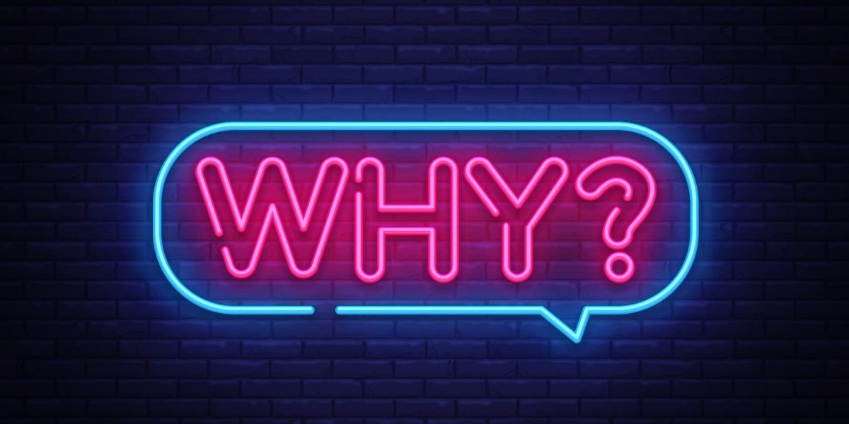 a neon sign on a brick background that says "Why?" in a word bubble