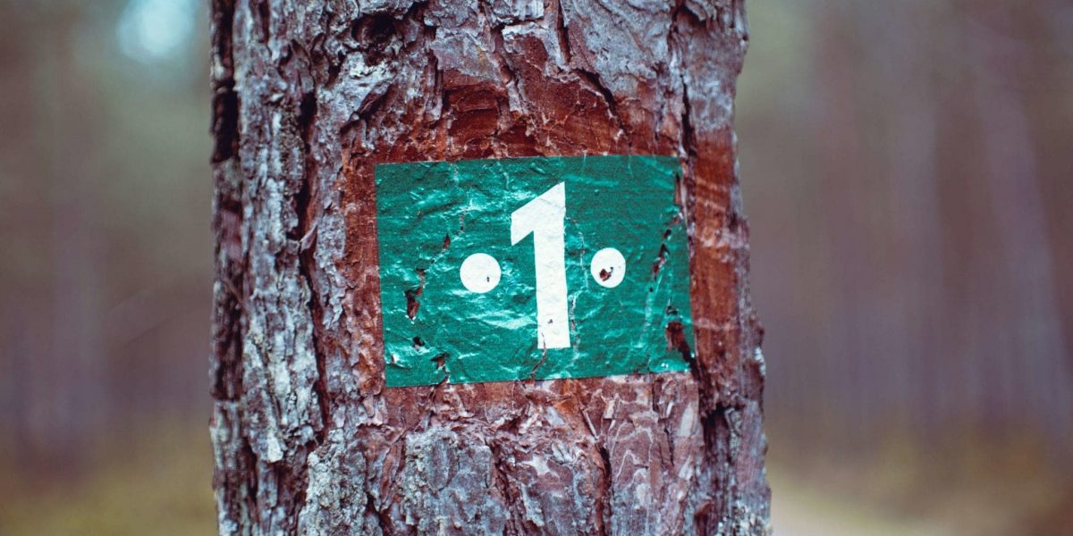 a tree with a sign attached displaying the number 1